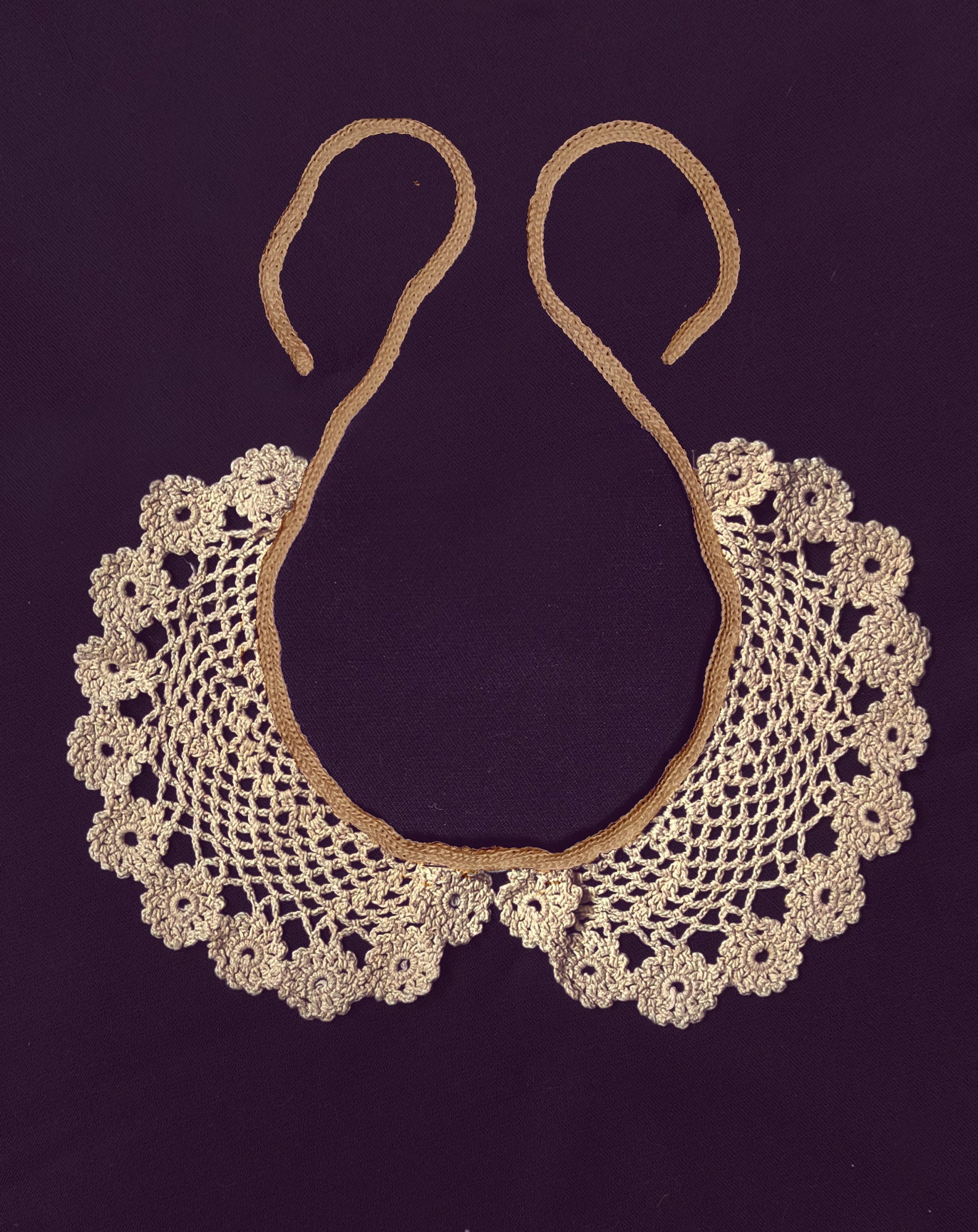 Imparar puoi tante cose dai fiori